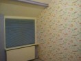 /album/wendy-verhuizen/a68475-417546094983712-1610109361-n-jpg/